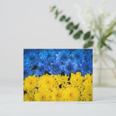 Carte Postale Blue and Yellow Chrysanthemum Nature Photo (Debout devant)