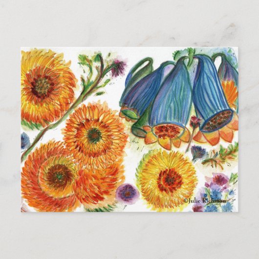 Carte postale Blue Bell Zinnia Flower2 (Devant)