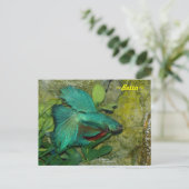 Carte postale Blue Betta fish (Debout devant)