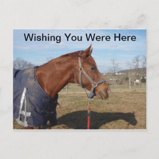 Carte Postale Blue Blue Blue Sea - J'Aimerais Que Vous Étiez Ici