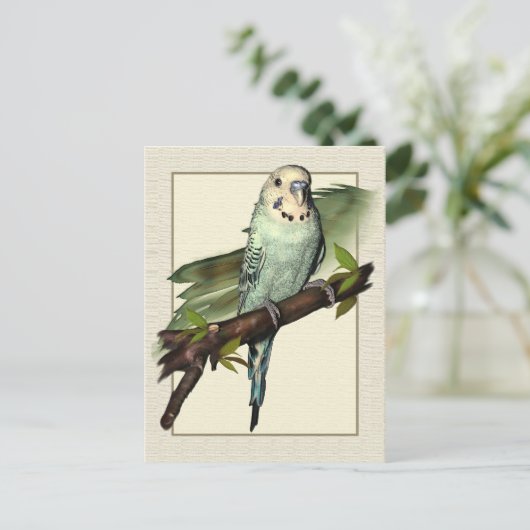 Carte postale Blue Budgie Art (Debout devant)