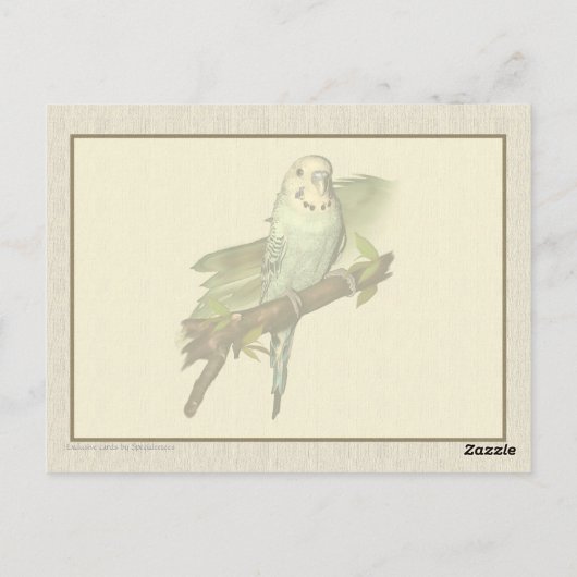 Carte postale Blue Budgie Art (Dos)