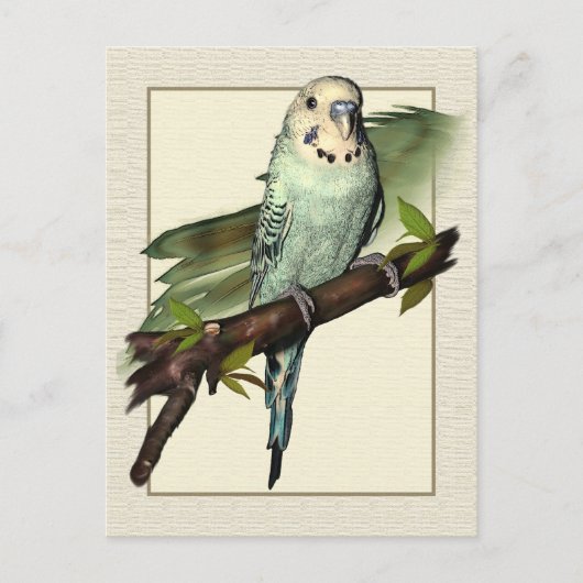 Carte postale Blue Budgie Art (Devant)