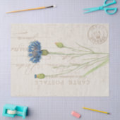 Carte Postale Blue Cornflower Floral  Tissuepapier (Craft)