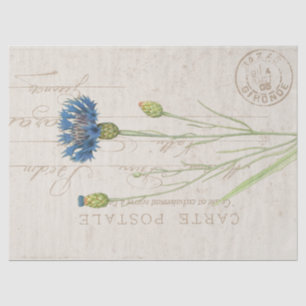 Carte Postale Blue Cornflower Floral  Tissuepapier