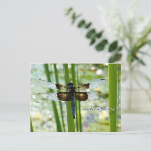 Carte postale Blue Dragonfly (Debout devant)