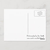 Carte postale Blue Dragonfly (Dos)