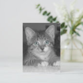 Carte postale Blue Eyes (Debout devant)