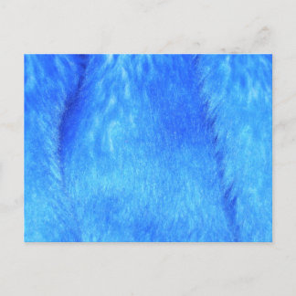Carte postale Blue Faux