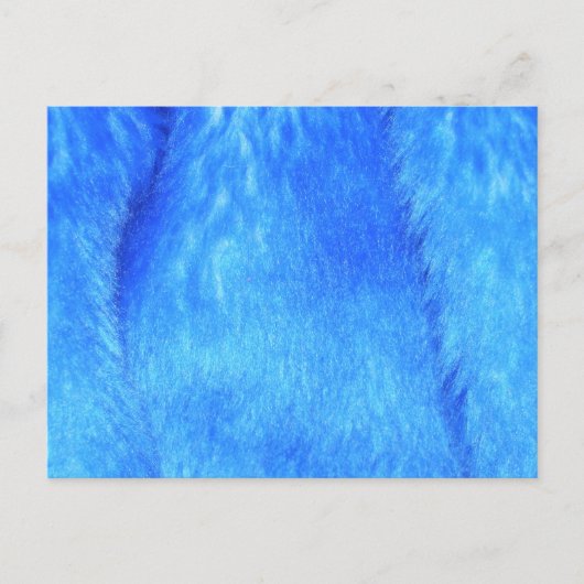 Carte postale Blue Faux (Devant)