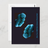 Carte Postale Blue Feet 2005 Mark Edward Westerfield (Devant / Derrière)