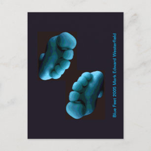 Carte Postale Blue Feet 2005 Mark Edward Westerfield