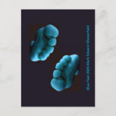 Carte Postale Blue Feet 2005 Mark Edward Westerfield (Devant)