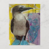 Carte Postale Blue Footed Bird mixed media collage (Devant)