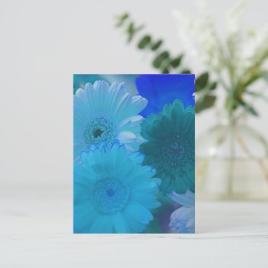 Carte postale Blue Gerbera Daisy (Debout devant)