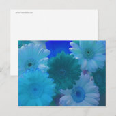 Carte postale Blue Gerbera Daisy (Devant / Derrière)