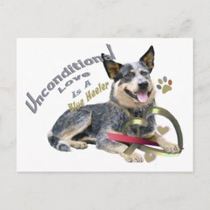 Carte Postale Blue Heeler Amour inconditionnel