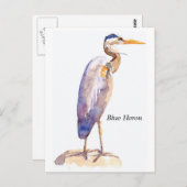 Carte postale Blue Heron (Devant / Derrière)