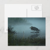 Carte postale Blue Heron (Devant / Derrière)