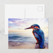 Carte Postale Blue Hummingbird Exotique Sunset Beach (Devant / Derrière)