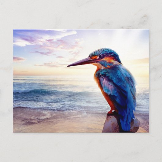 Carte Postale Blue Hummingbird Exotique Sunset Beach (Devant)