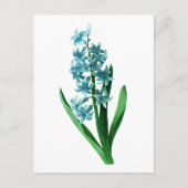 Carte Postale Blue Hyacinth par Pierre Joseph Redoute (Devant)
