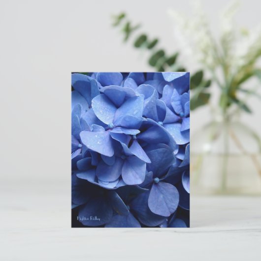 Carte postale Blue Hydrangea (Debout devant)