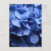 Carte postale Blue Hydrangea (Devant)
