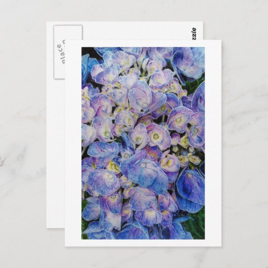 Carte postale Blue Hydrangea Botanea Art (Devant / Derrière)