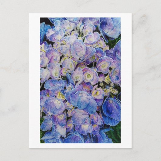 Carte postale Blue Hydrangea Botanea Art (Devant)