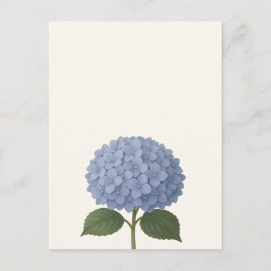 Carte Postale Blue Hydrangea Botanical Illustration Design (Devant)