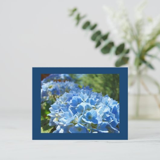Carte postale Blue Hydrangea Fleurs Ajouter votre (Debout devant)