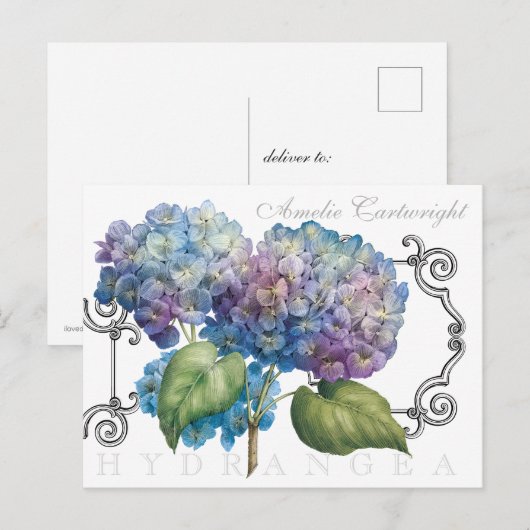 Carte Postale Blue Hydrangea Floral Nom monogramme (Devant / Derrière)