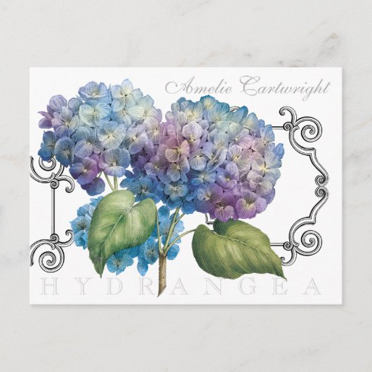 Carte Postale Blue Hydrangea Floral Nom monogramme (Devant)
