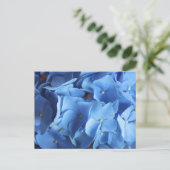 Carte postale Blue Hydrangea Flower Photo (Debout devant)
