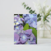 Carte Postale Blue Hydrangeas (Debout devant)