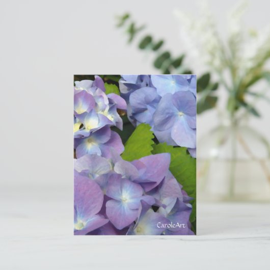Carte Postale Blue Hydrangeas (Debout devant)