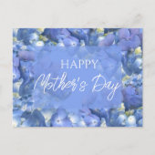 Carte Postale Blue Hydrangeas Blooms fête des mères (Devant)