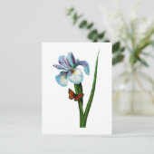 Carte Postale Blue Iris avec papillon par Redoute (Debout devant)