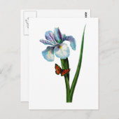 Carte Postale Blue Iris avec papillon par Redoute (Devant / Derrière)