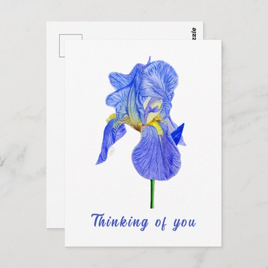 Carte postale Blue Iris Pensées pour toi (Devant / Derrière)