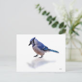 Carte Postale Blue Jay (Debout devant)