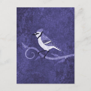 Carte postale Blue Jay