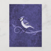 Carte postale Blue Jay (Devant)