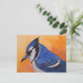 Carte postale Blue Jay (Debout devant)
