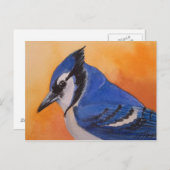 Carte postale Blue Jay (Devant / Derrière)