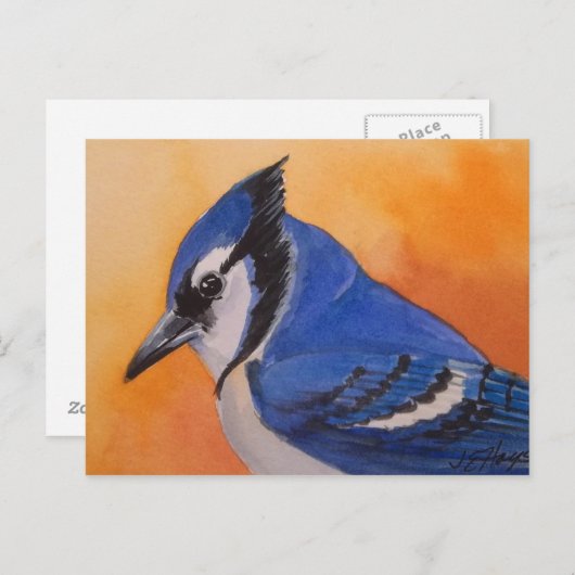 Carte postale Blue Jay (Devant / Derrière)