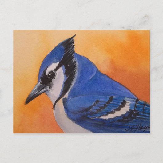 Carte postale Blue Jay (Devant)