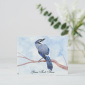 Carte Postale Blue Jay (Debout devant)