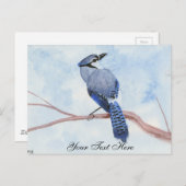 Carte Postale Blue Jay (Devant / Derrière)
